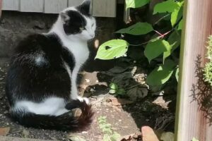 Friseurstudio Ilka G&ouml;bel