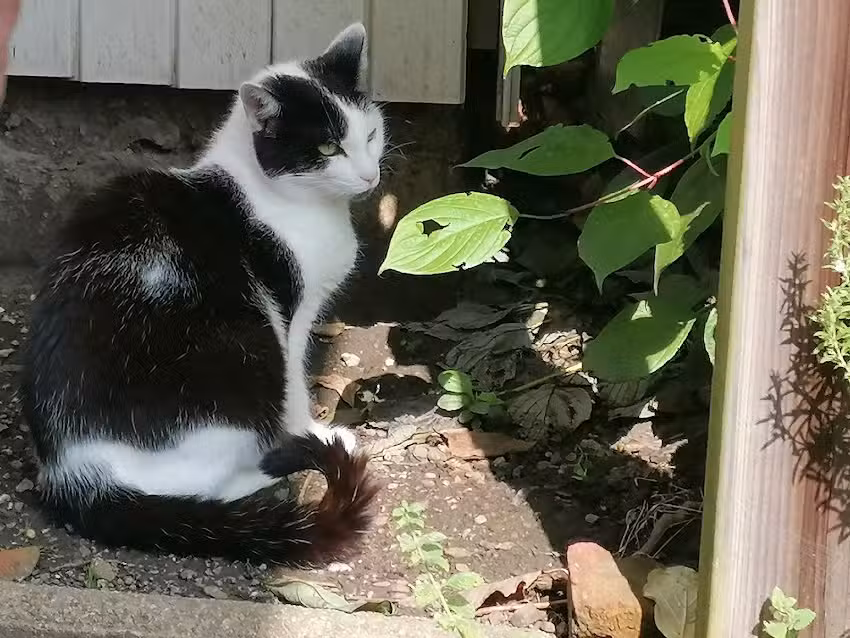 Friseurstudio Ilka G&ouml;bel