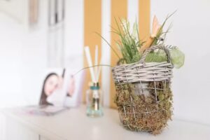 Friseurteam Wolf GmbH