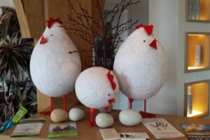 Friseusalon Petra Sigwarth