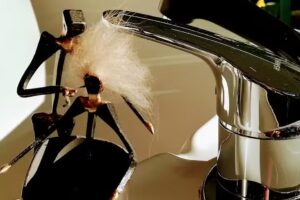 Fris&ouml;r Papillote