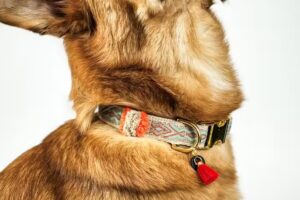 Fussi-Dogs &ndash; Hundesalon & Boutique Neuss