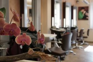 Gl&uuml;cksstr&auml;hne Haardesign Monja Porsch Friseurmeisterin