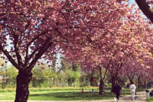 고아 헤어 한인 미용실/ Koreanischer Friseur Salon