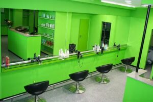 Gr&uuml;nton&hellip;Fris&ouml;r