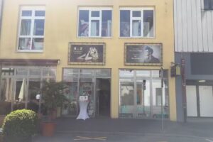 H&Z SINGEN PROFESSIONAL HAIR & BEAUTY STORE