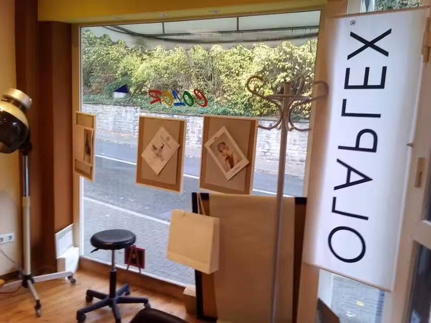 Haar Concept by Herbert Mohr UG