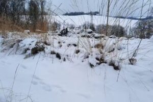 Haar Oase Davina GmbH