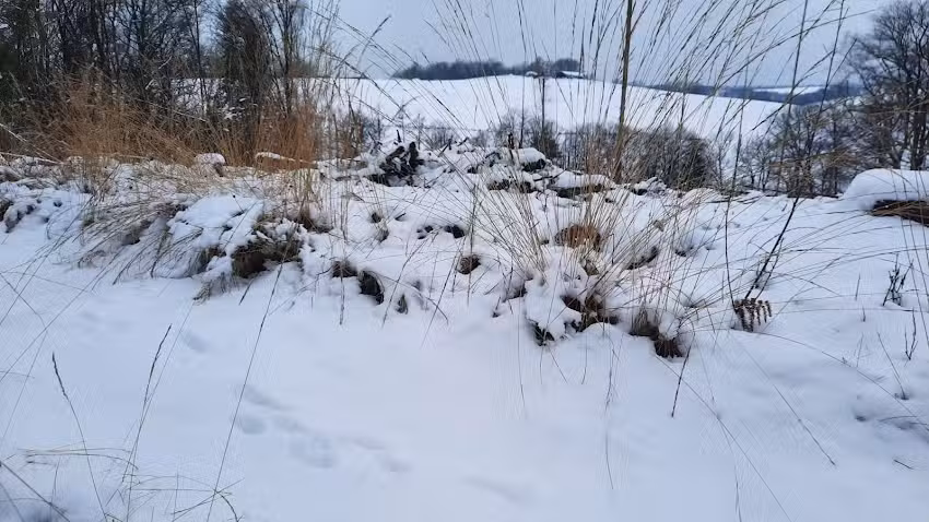 Haar Oase Davina GmbH