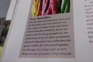 Haar &ndash; Studio Stamm