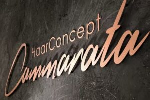 HaarConcept Cammarata