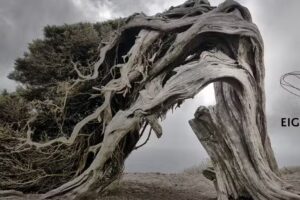 Haardesign by Hegner