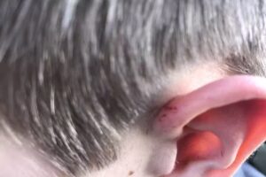 haargenau by Sebastian