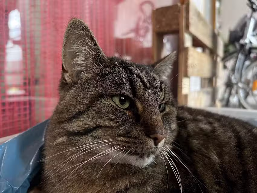 Haarhaus K. Maier Friseursalon