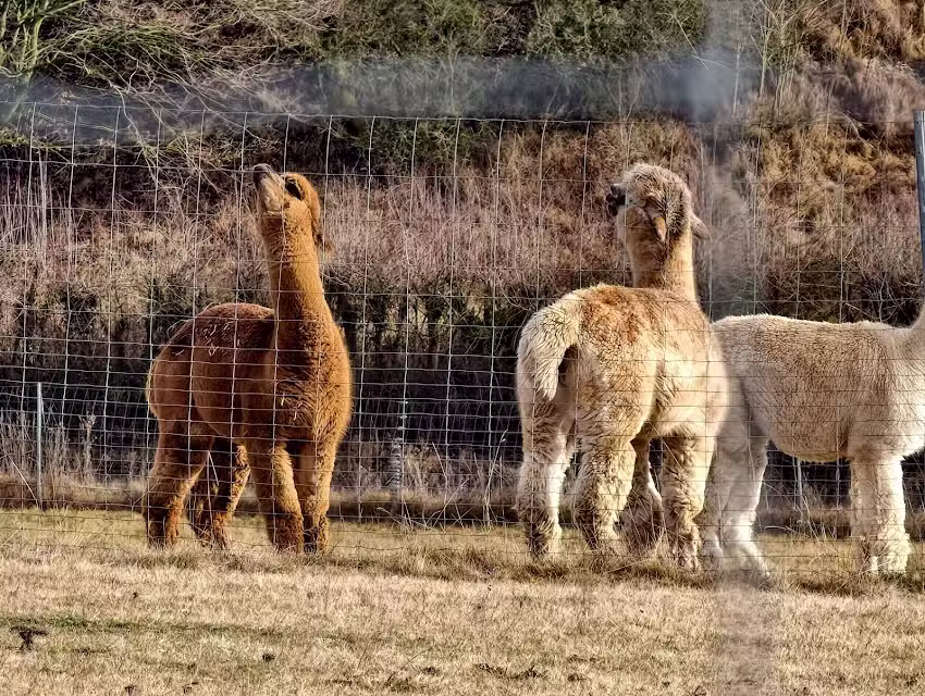 Haarmode 2000 &ndash; Elke Rath