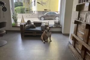 Haarschneidemeisterei