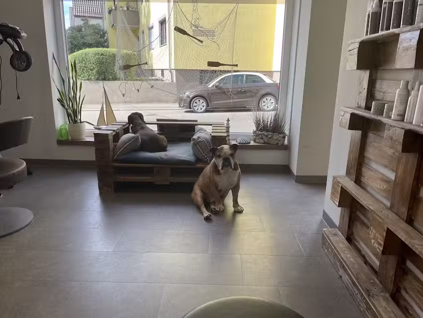 Haarschneidemeisterei