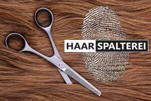 Haarspalterei
