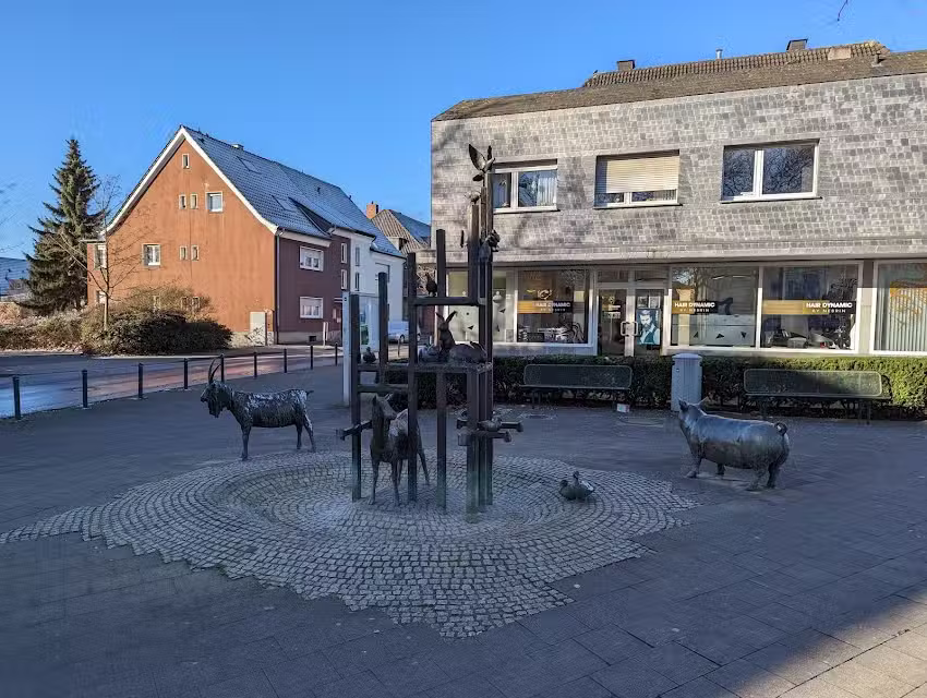 Hair Dynamic by Nesrin