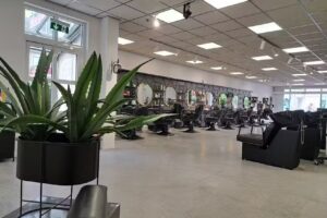 Haircules Friedlingen