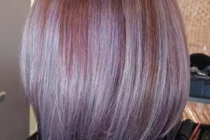 Haircutter – Mandy Ackermann Der Bremer Friseur in der Neustadt – Bremen