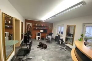 Hairstyle Nicole Inh. Geier Nicole