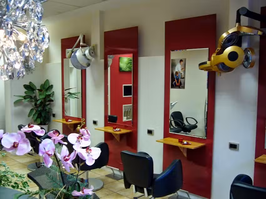 Hairstyler&rsquo;s heaven