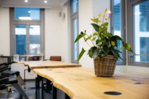 Headcrash OL-Mitte GmbH