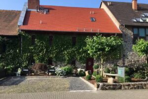 Hermens Hauttherapie