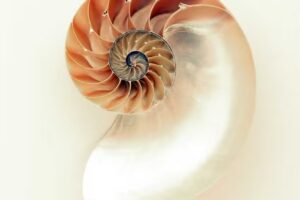 HNO Praxis Dr. Gerhard M. Strasser