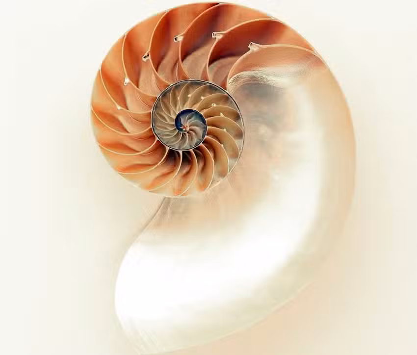 HNO Praxis Dr. Gerhard M. Strasser