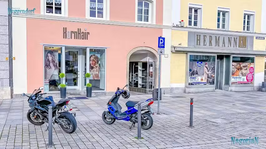 Horn Hair Art Of Hair Design