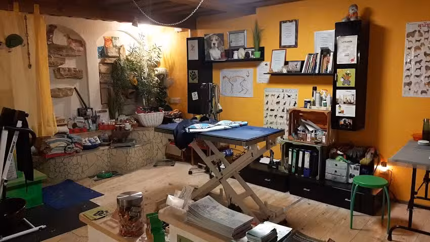 Hundesalon Forchheim (Reha und Wellness f&uuml;r Ihr Tier)