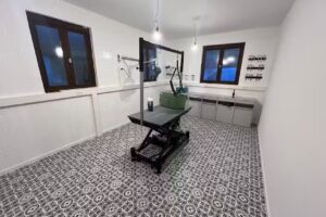 Hundesalon Paulchens Frise