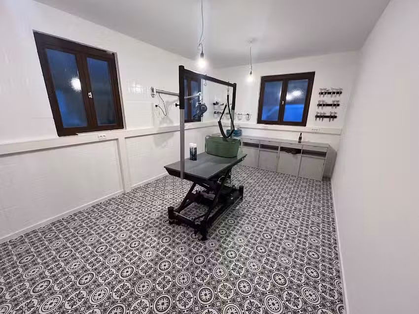 Hundesalon Paulchens Frise