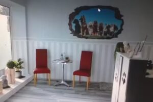 Hundesalon Zottelfell &ndash; Tierisch gepflegt