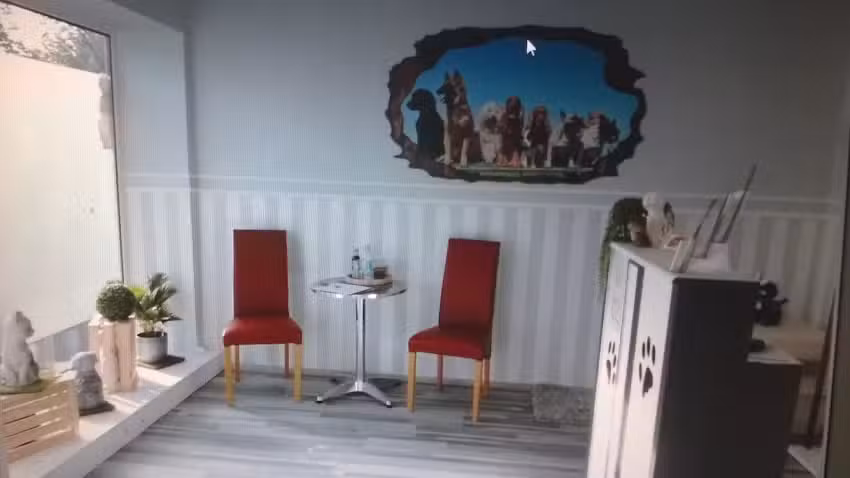 Hundesalon Zottelfell &ndash; Tierisch gepflegt