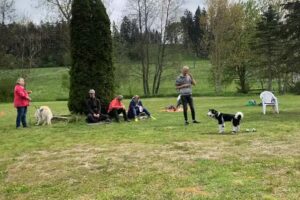 Hundezentrum Schwarzwald