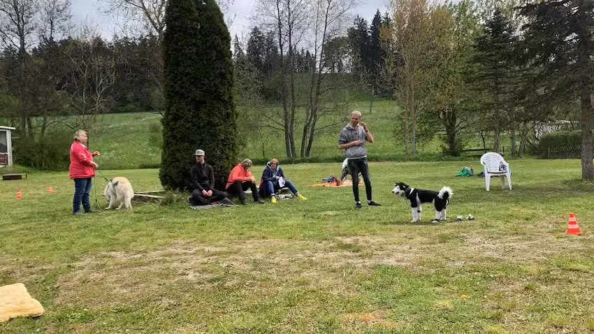 Hundezentrum Schwarzwald