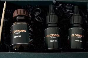 ICE-Extensions Germany