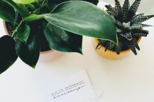 Julia D&ouml;ring Haardesign