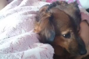 Karin Wendt Wellnes/ Umwelt