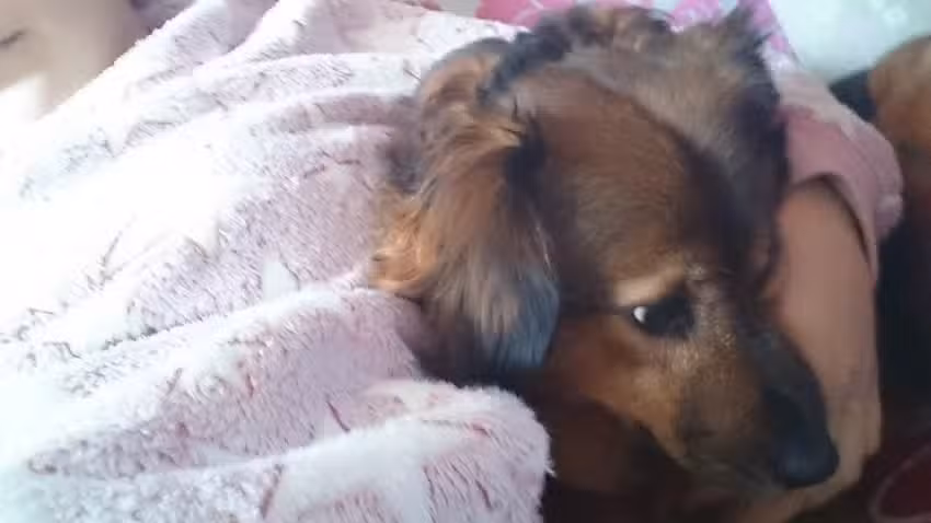 Karin Wendt Wellnes/ Umwelt