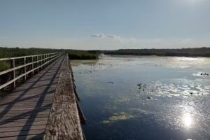 Kerling International Haarfabrik GmbH