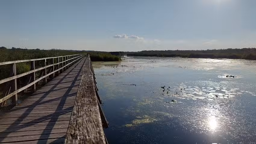 Kerling International Haarfabrik GmbH