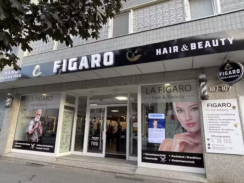 La Figaro MAMO Akademie