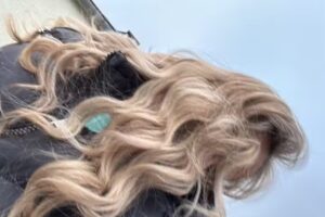 Livestyle Kosmetik Friseursalon