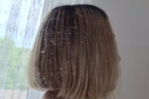 Lothar R&uuml;hlemann Friseursalon