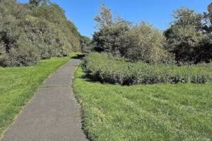 Makeup Avenue Hair & Makeup Artist