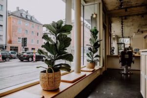 Marina Brunsch Cut & Colour